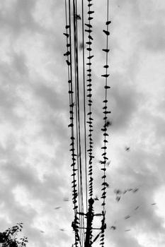 �˿˸�Ӧ��������Ƶ��������ȫ�߸����ӡ��������ȥ������...